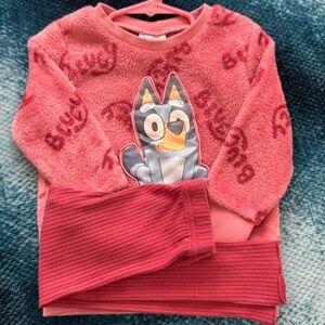 2T - 2 piece BLUEY fleece sweater and pants